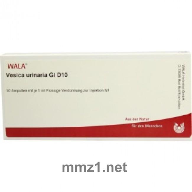 Vesica Urinaria GL D 10 Ampullen - 10 x 1 ml