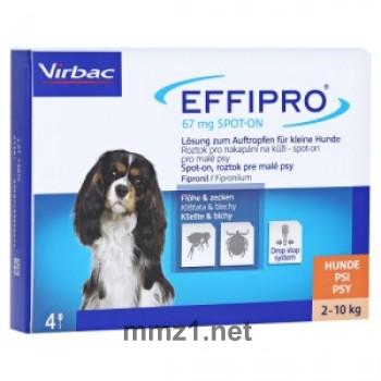 Effipro 67 mg zum Auftropfen für kleine Hunde - 4 St.