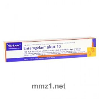 Enterogelan 10 Paste vet. - 11,5 g