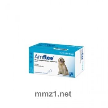Amflee 268 mg Spot-on Lösung für große Hunde - 3 St.