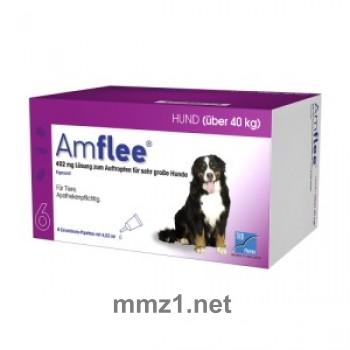 Amflee 402 mg Spot-on Lsg.f.sehr gr.Hund - 6 St.