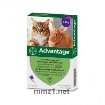 Advantage 80 mg für Katzen und Zierkaninchen über 4 kg - 4 x 0,8 ml