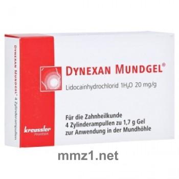 Dynexan Mundgel Zylinderampullen - 4 x 1,7 g